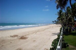 20100305_1290412890_08_strand_maracaipe_brasilien_workshop_2010